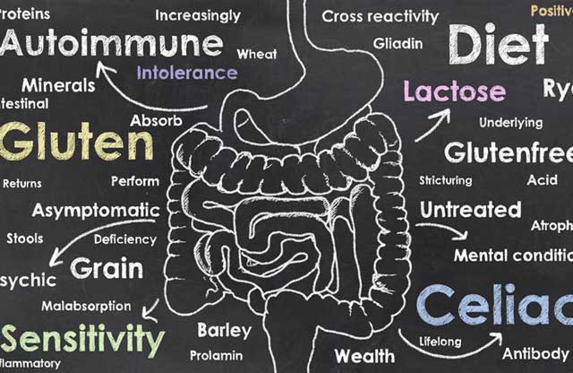 大腸激躁症,腸躁症,腸道敏感,腸道刺激,腸道蠕動力異常,,食物過敏原,營養療法