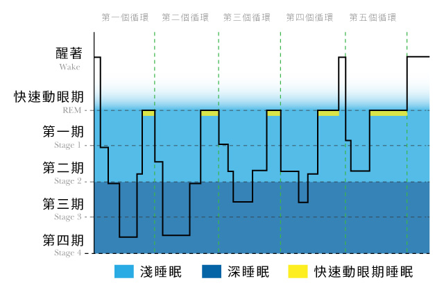 睡眠週期,淺睡眠,深睡眠,REM,快速眼動期